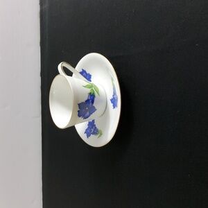 Bavaria Germany Teacup & Saucer